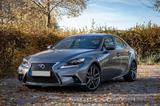 Lexus IS 300h F-Sport Automatik  - Lexus: Sport