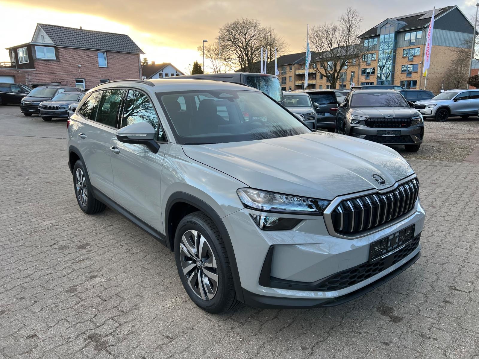 Skoda Kodiaq 1.5 TSI mHEV Selection ACC AHK Matrix 18