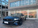 Ford Mustang CABRIO 2.3i 290CV MANUALE EURO6D! L - Ford Mustang: I