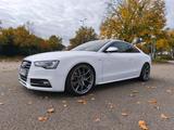 Audi S5 Coupé PP-Performance - Audi S5 in Stuttgart