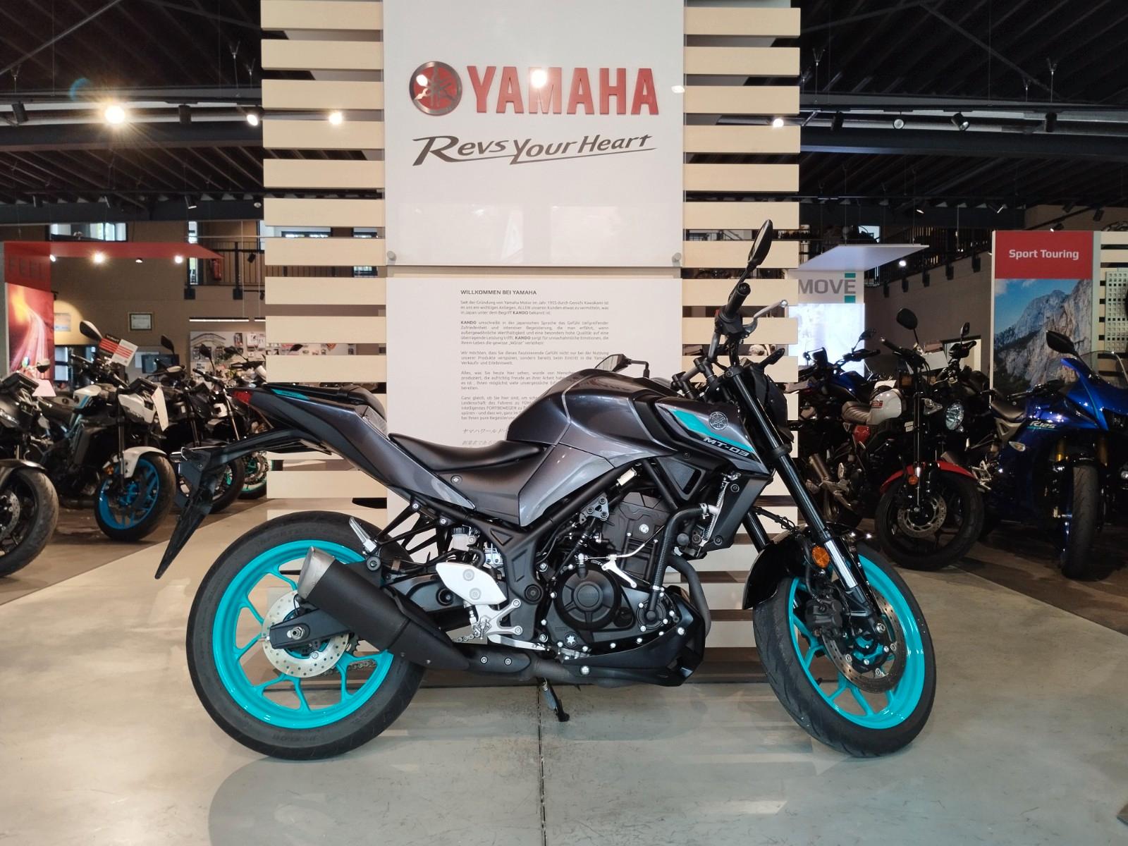 Yamaha MT-03 *1. Hand*