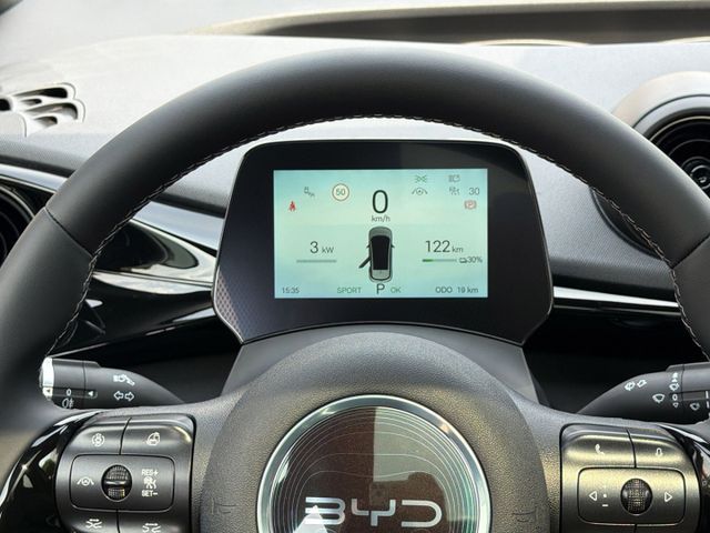 BYD Dolphin Design