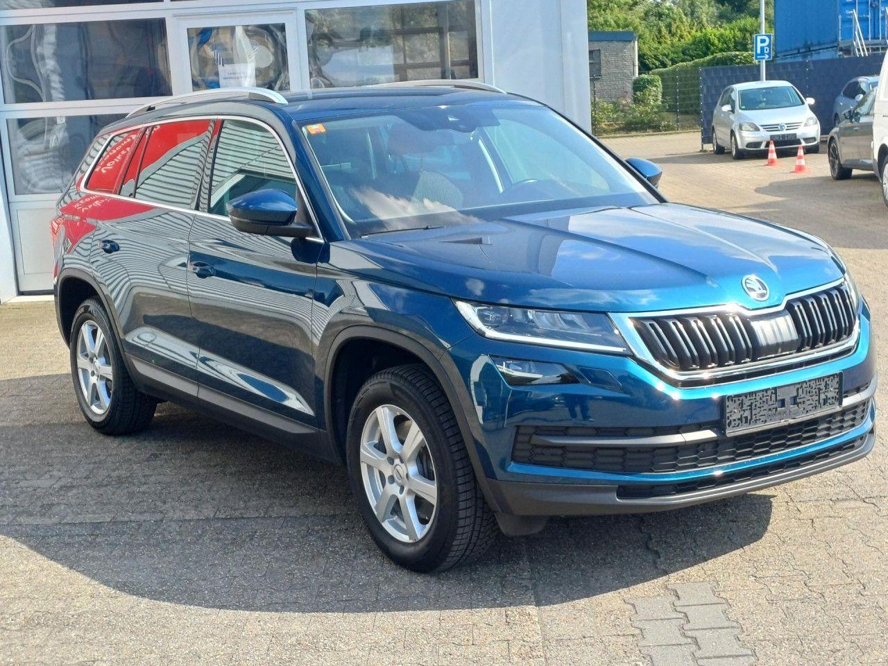 Skoda Kodiaq 2.0 TSI Klima Sitzhzg Standhzg 360 Grad