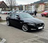 Jaguar XF 3.0 d 260 Facelift - Jaguar XF X260