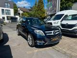 Mercedes-Benz GLK 220 CDI BlueEfficiency 4Matic/Pano/AHk/Xenon - blaue Mercedes-Benz GLK-Klasse