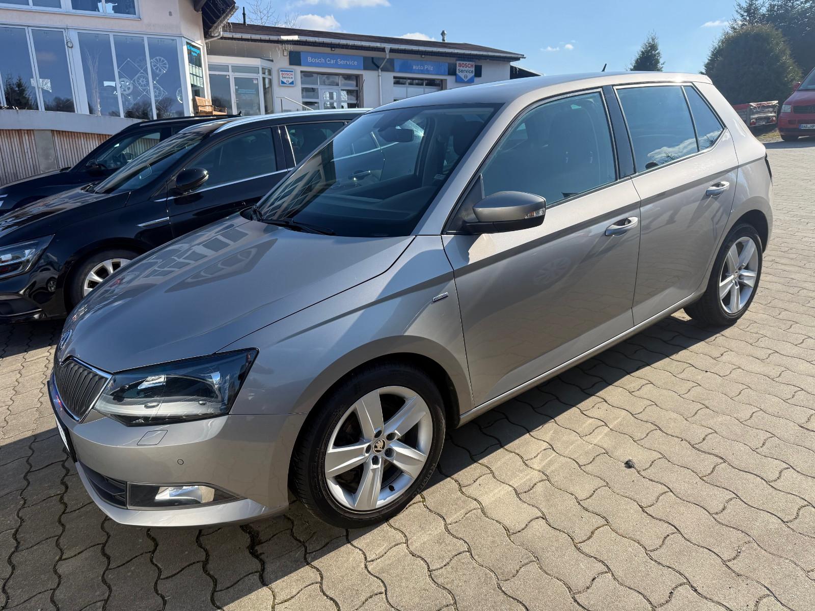 Skoda Fabia Drive DSG Navi Standheizung RFK