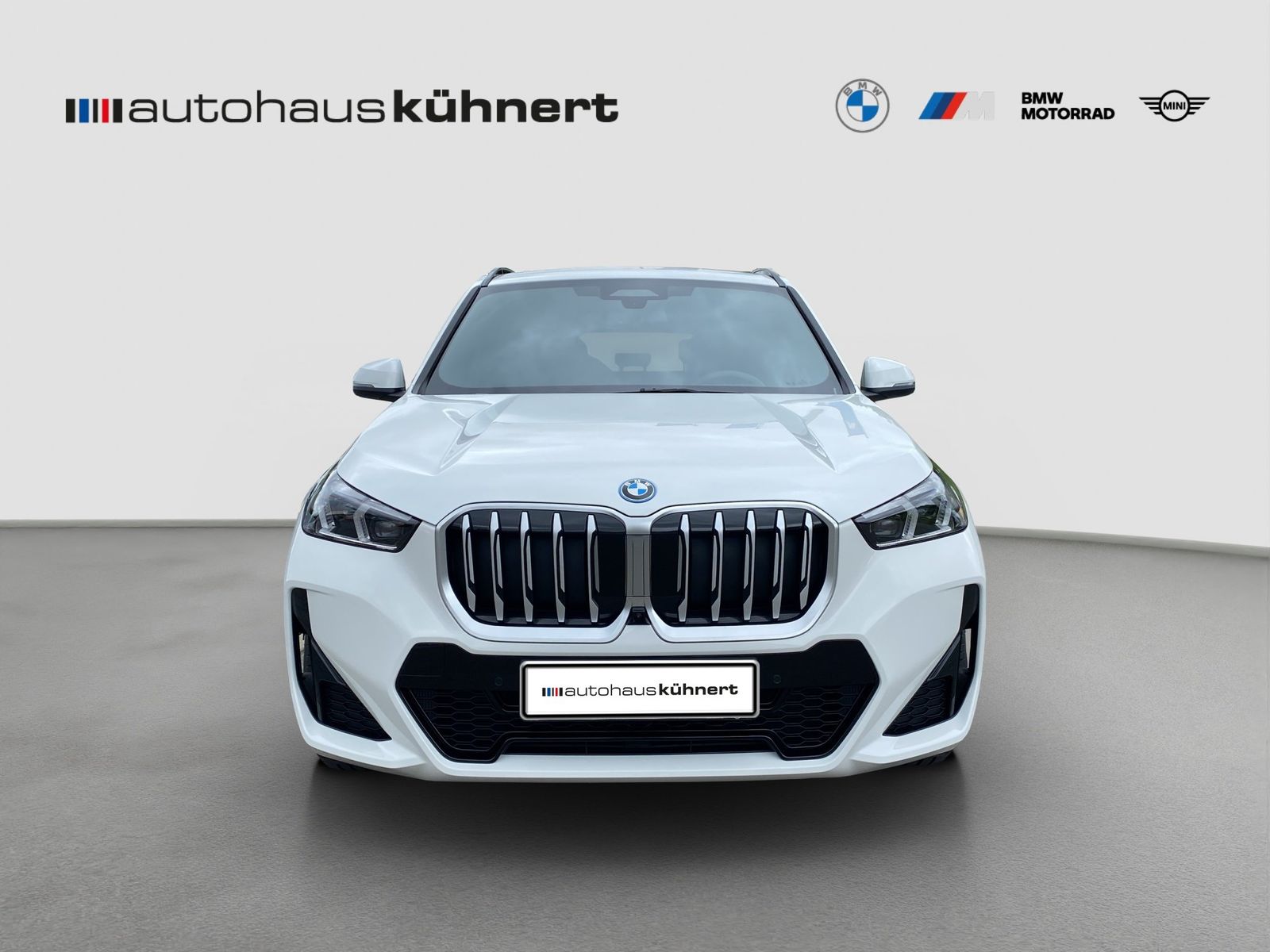 BMW X1 xDrive30e ///M-Sport ACC AHK HUD ParkA+ foto 3
