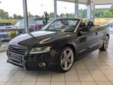 Audi A5 2.0 S-Line Xenon Temp. Bang & Olufsen 19" - Audi A5 aus 2009: Line