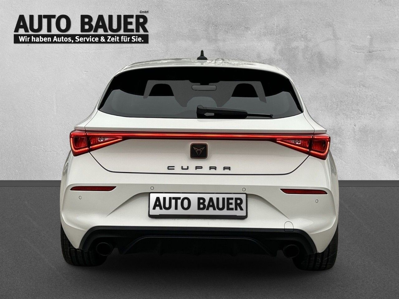 Fahrzeugabbildung CUPRA Leon VZ 2.0 TSI 245 PS DSG