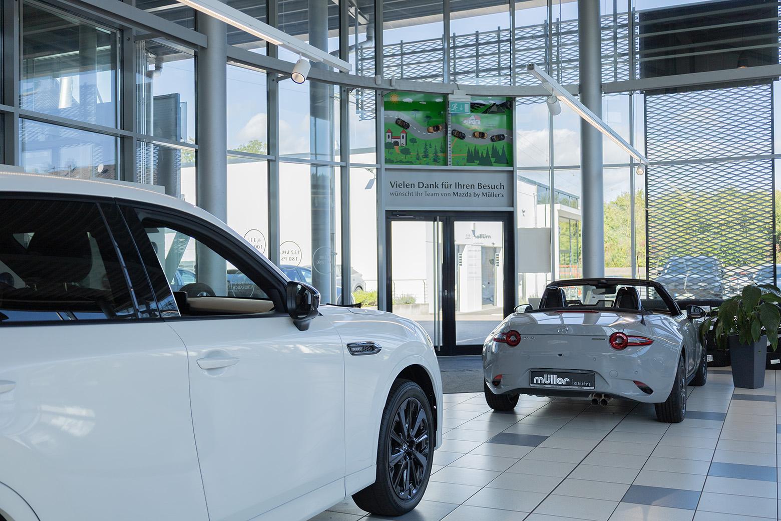showroom-image-bottom