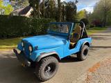 Jeep 1978 CJ5 - lineX paint rugged  - Jeep CJ aus 1978