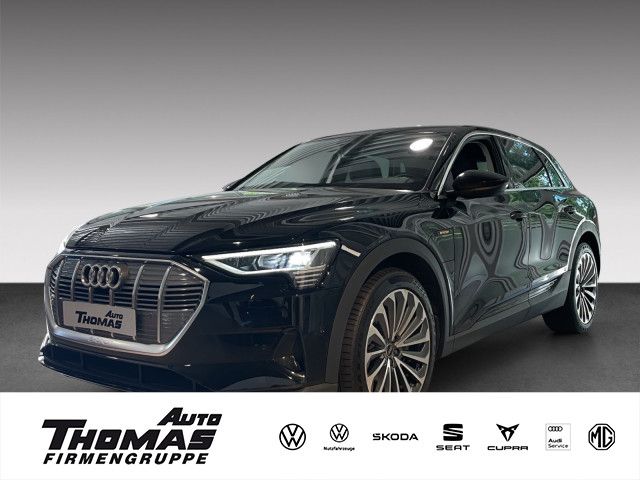 AUDI e-tron  55 quattro NAVI+PDC+DAB+