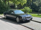 Jaguar Daimler Super Eight - - Jaguar Daimler Gebrauchtwagen