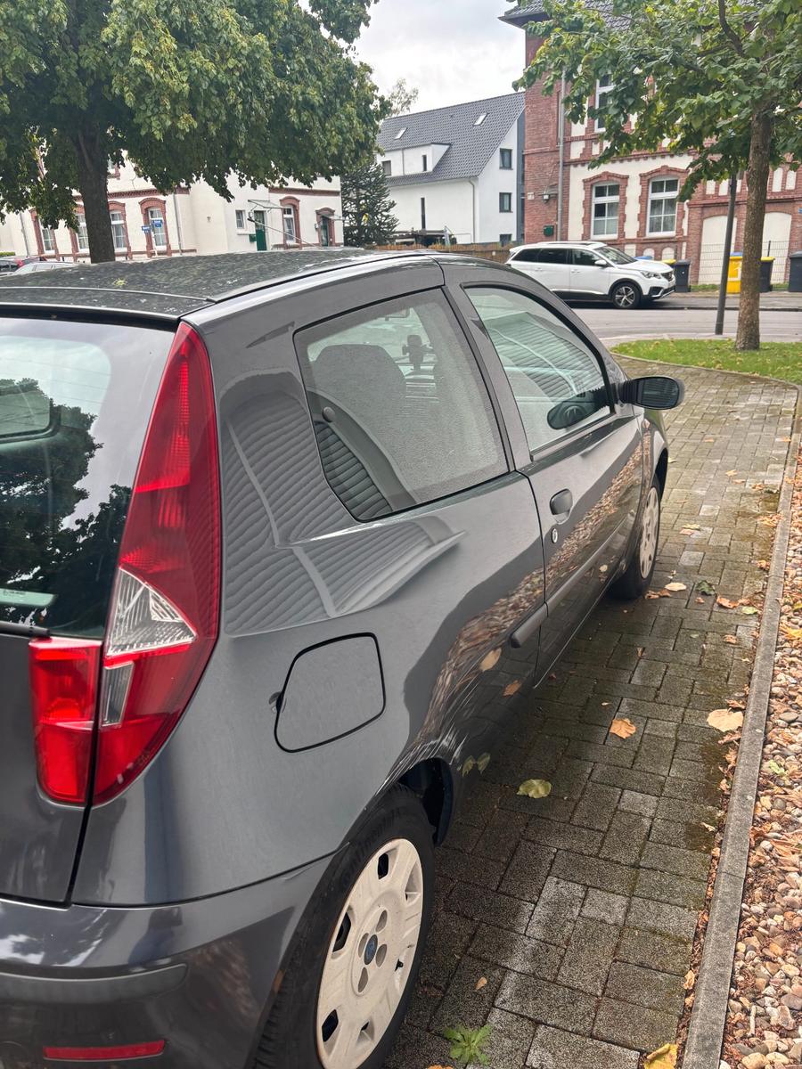 Fiat Punto 1.2 8V Dynamic 