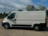 Peugeot Boxer Kasten 330 L2H1 Premium BlueHDi 130 - Peugeot Boxer in Dresden
