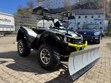 TGB Blade 550 EPS LOF Winde Schild 4x4 Aut. - TGB BLADE 550 4X4