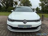 Volkswagen Golf Life 1,5 BT096 TSIM6F - Volkswagen Golf mit Benzin-Antrieb: 1.6