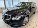 Mercedes-Benz E 500 T 4-Matic  - ACC/360/Memory/Airmatic - Mercedes-Benz E 500: 4matic