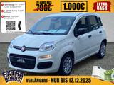 Fiat Panda Panda MY25 Hybrid 1.0 GSE