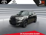 MINI Cooper Countryman Glasdach - graue MINI Cooper Countryman