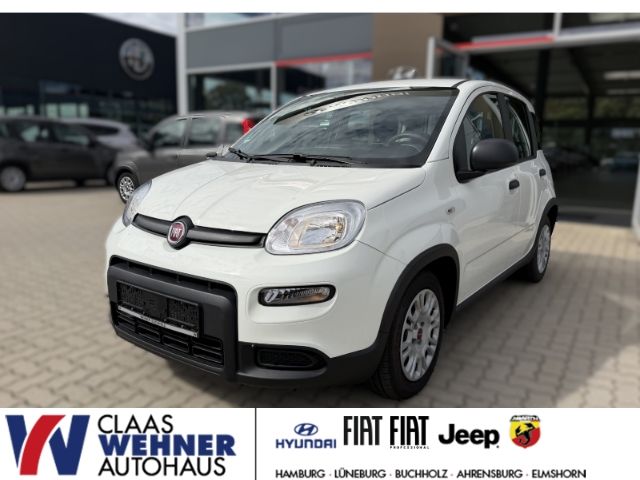 Image of Fiat Panda