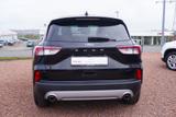 Ford Kuga 1.5 EcoBlue Titanium Aut. Navi Kamera AHK - Ford Kuga aus 2023