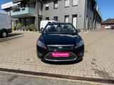 Ford Focus Cabrio Titanium 145PS Navi, Alu, Leder - Ford Focus: 14