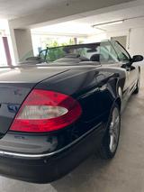 Mercedes-Benz Mercedes CLK 280  W 209 Cabrio Avantgarde ... - : Cabrio, Clk 209