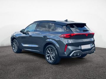 Cupra Terramar - 5