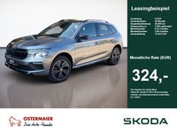 Skoda Kamiq - Vorschau Bild 1