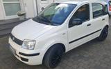 Fiat Panda 1200 69PS - Fiat Panda in Leverkusen