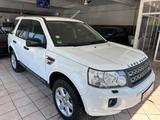 Land Rover Freelander 2 S TD4 Klima AHK TÜV bis 03/2028 - gebrauchte Land Rover Freelander aus dem Jahr 2011