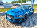 Ford Mustang 2.3Eco Navi Leder BLUE R-CAM SHELBY - gebrauchte Ford Mustang aus dem Jahr 2021
