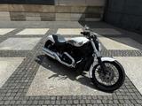 Harley-Davidson V-ROD VRSCA Night Rod Ausstellungsfahrzeug  - HARLEY-DAVIDSON VRSCA