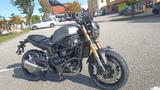 Benelli LEONCINO 800 -TOP ANGEBOT/Tageszulassung - BENELLI LEONCINO 800