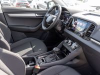 Skoda Karoq - Vorschau Bild 27