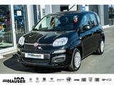 Fiat Pandina ICON Hybrid 1.0 GSE TEMPOMAT PDC LANE KL - Fiat New Panda: Kleinwagen