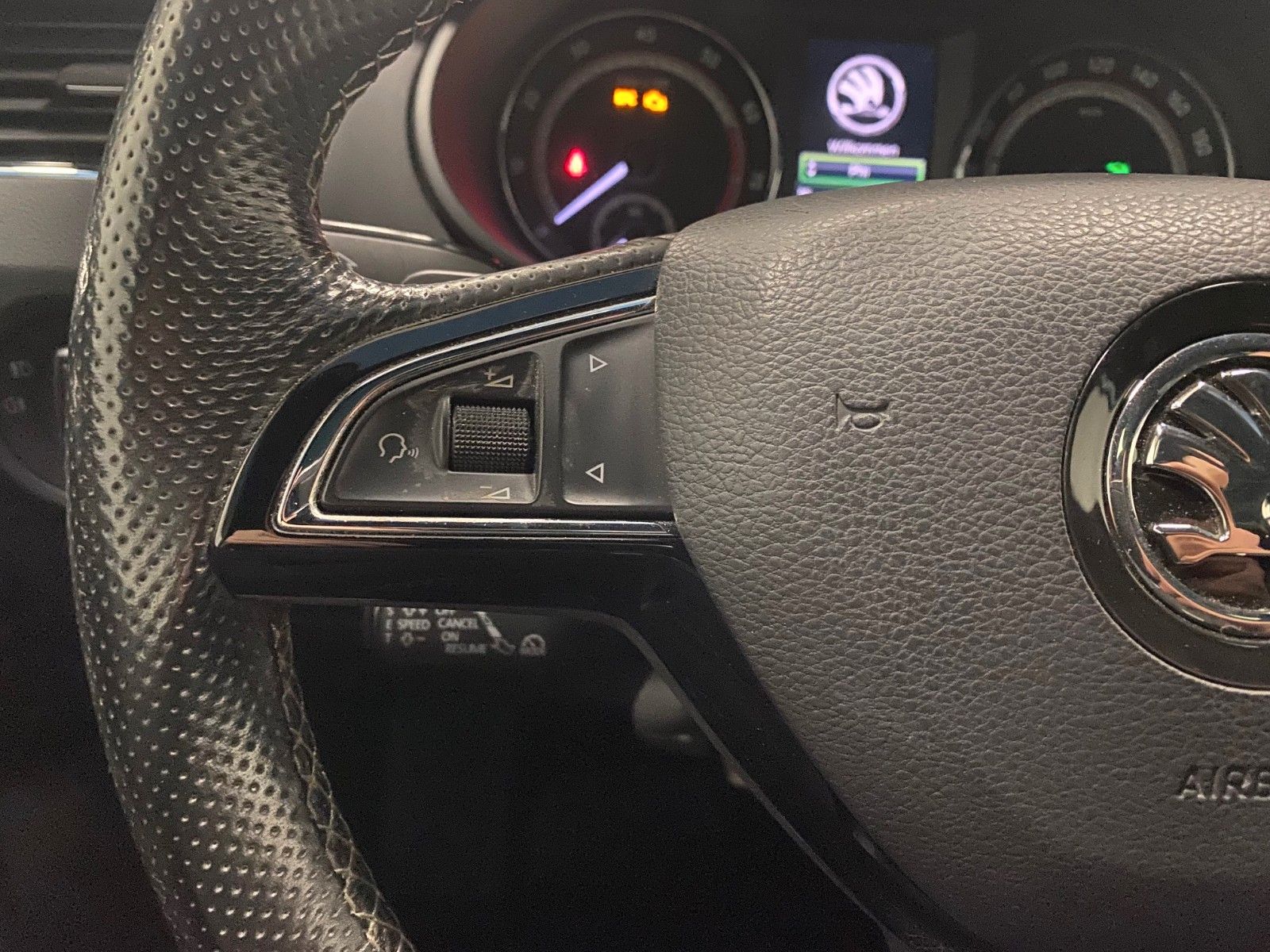 Fahrzeugabbildung SKODA Octavia 2.0 TSI DSG RS Combi+PANORAMA+19"+NAVI++