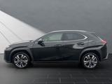 Lexus UX 250h*STYLE*1HD*CARPLAY* 15J-GARANTIE* - Lexus Gebrauchtwagen in Essen