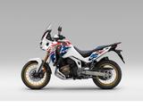 Honda CRF 1100 DCT Africa Twin Adventure Sp.+E.Fahrw. - HONDA CRF110F