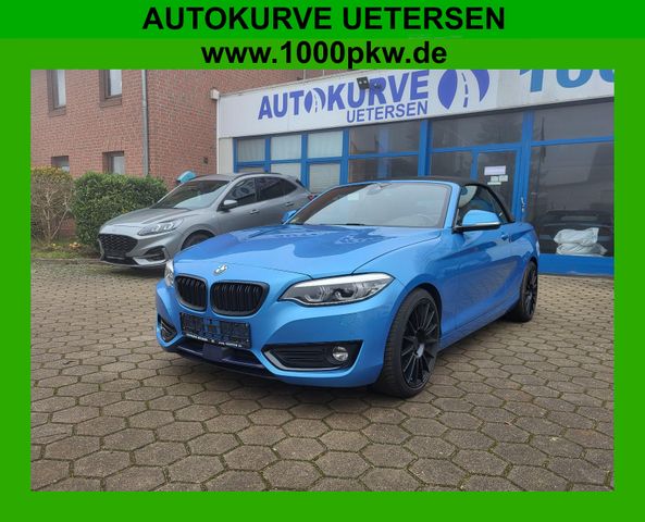 BMW 230i Cabrio Luxury Line Kamera Leder Navi LED