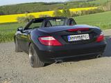 Mercedes-Benz SLK 200 - - aus 2011: Sl