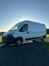Opel Movano L3H2 - Opel: Firmenfahrzeug
