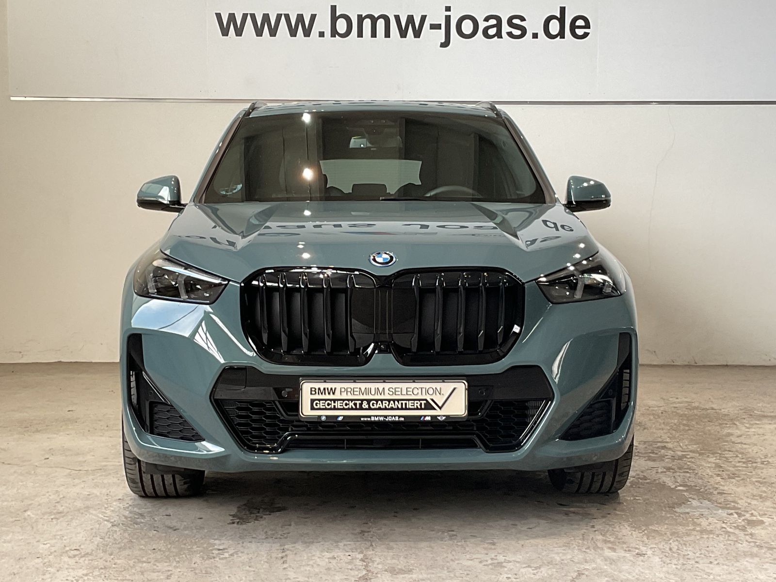Fahrzeugabbildung BMW X1 xDrive30e M Sportpaket pro, Panorama-Glasdach