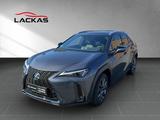 Lexus UX 250h F-Sport Design*15J.GARANTIE* - Lexus aus 2023
