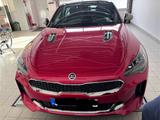 Kia Stinger 3.3 T-GDI AWD GT GT - rote Kia Stinger