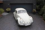 Volkswagen Käfer 1200 Export Faltdach 2. Hand 60tkm  - Volkswagen Käfer Oldtimer