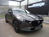 Mazda CX-30 2.5L e-SKYACTIV G 140ps 6AT FWD Nagisa - Mazda CX-30 Gebrauchtwagen in Hamburg