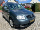 Volkswagen Caddy 1.6 Life TÜV NEU 1.Hand Klima SHZ AHK - gebrauchte Volkswagen Caddy aus dem Jahr 2008