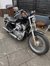 Harley-Davidson Sportster 883 LOW - HARLEY-DAVIDSON 2005 883 SPORTSTER